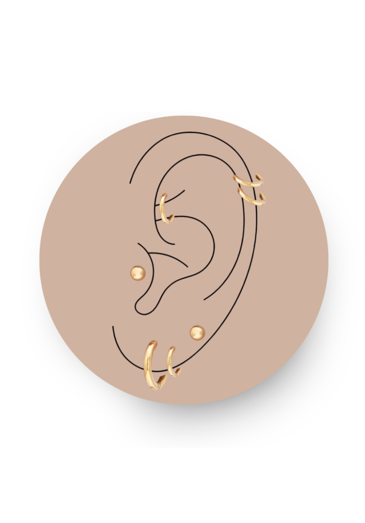 Illustration des placements de piercings d'oreille disponibles chez Encorps Studio à Nîmes | Garons